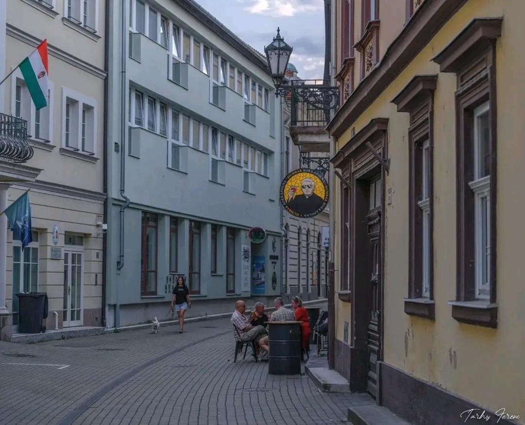 Albina Apartman Eger Exteriér fotografie