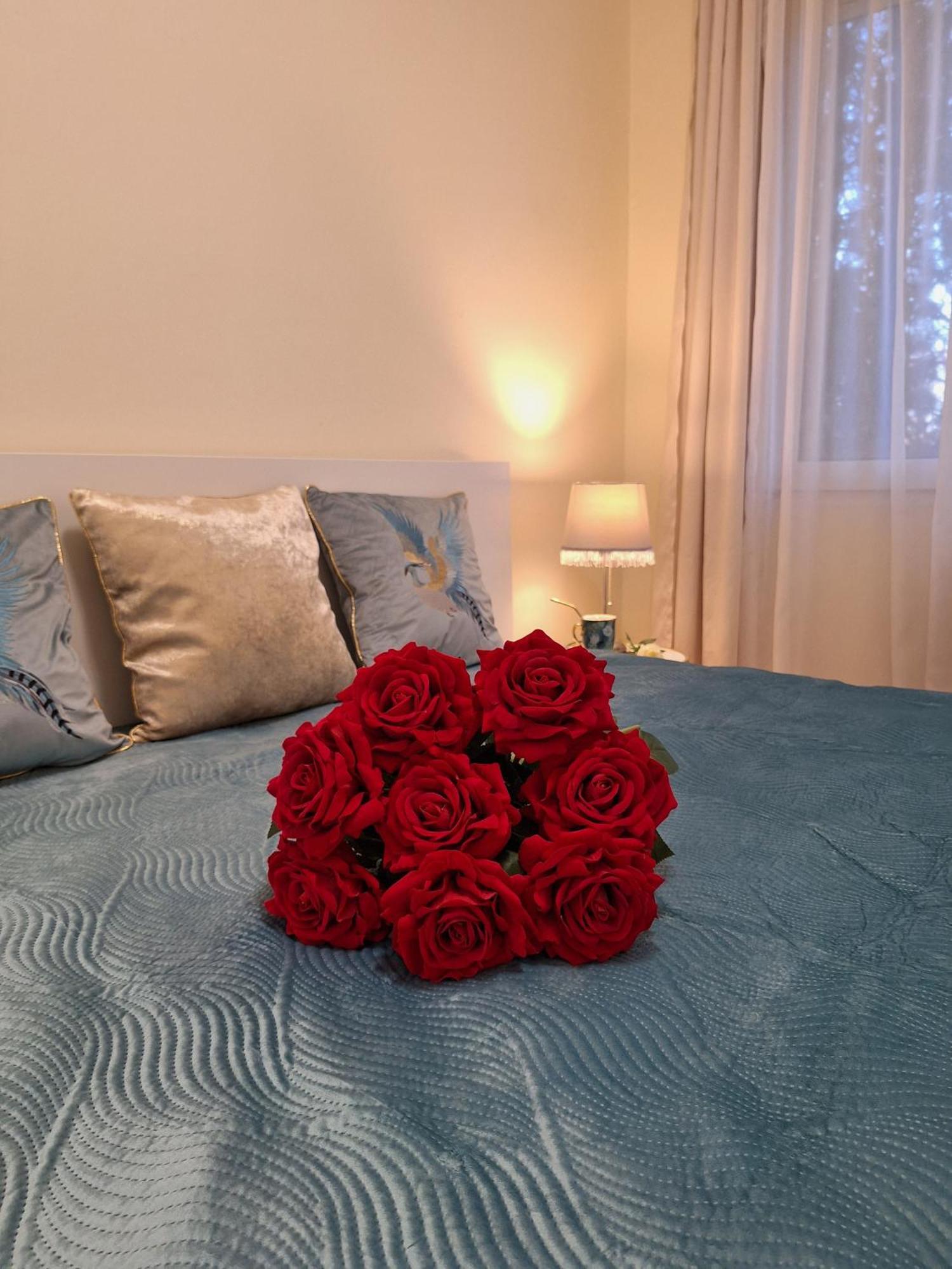 Albina Apartman Eger Exteriér fotografie