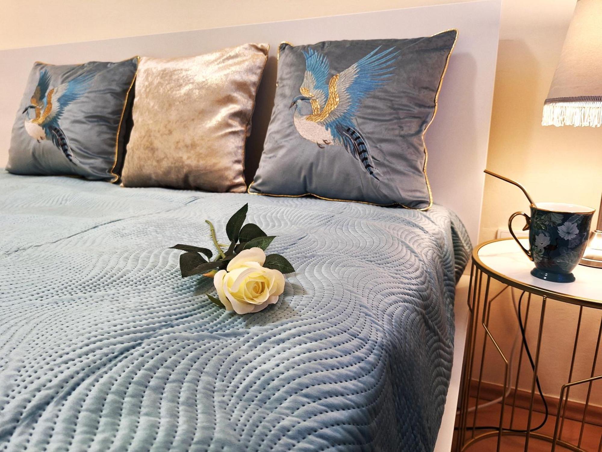 Albina Apartman Eger Exteriér fotografie
