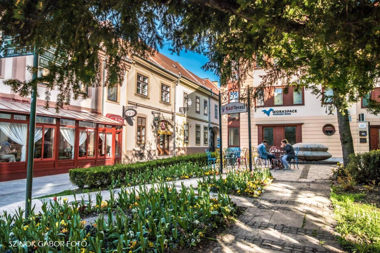 Albina Apartman Eger Exteriér fotografie